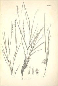 n74_w1150