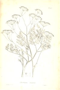 n172_w1150