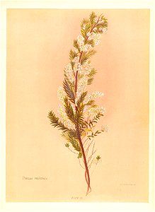 n104_w1150