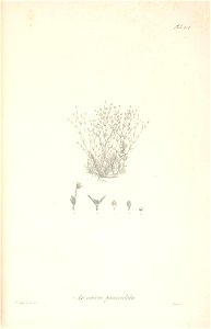 n46_w1150