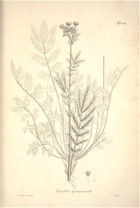 n184_w1150