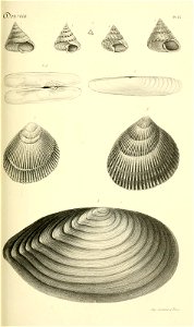 n170_w1150