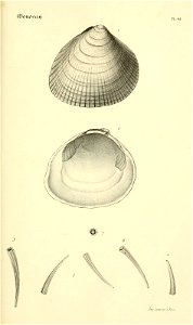 n228_w1150