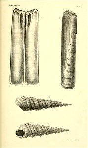 n198_w1150