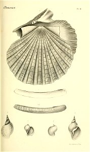 n168_w1150