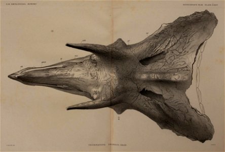 n434_w1150
