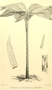 n277_w1150