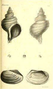 n196_w1150