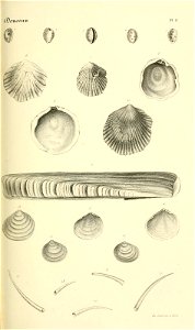 n166_w1150