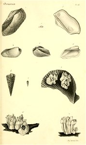 n226_w1150