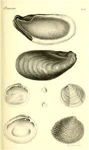 n164_w1150