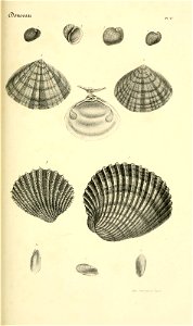 n194_w1150
