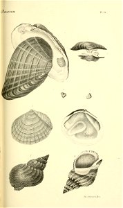 n192_w1150