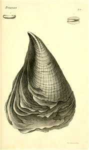 n222_w1150
