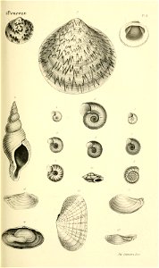 n162_w1150