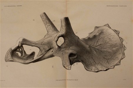 n394_w1150