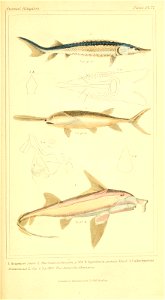 n408_w1150