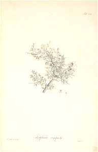 n40_w1150