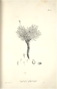 n238_w1150
