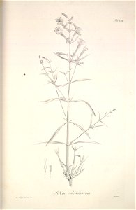 n253_w1150