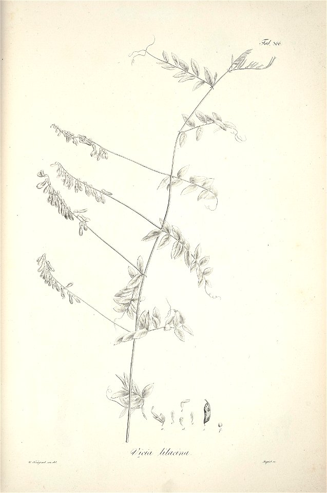 n223_w1150