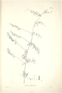 n223_w1150