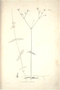 n208_w1150