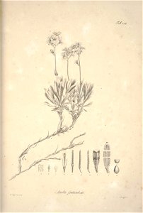 n193_w1150