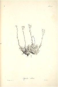 n44_w1150