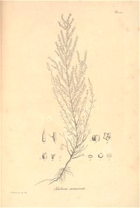 n81_w1150