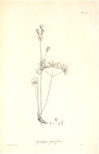 n37_w1150