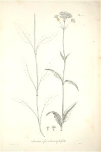 n220_w1150