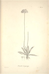 n205_w1150