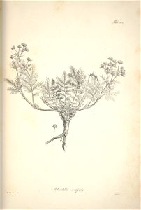 n190_w1150