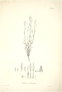 n87_w1150