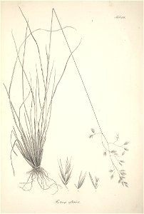 n57_w1150