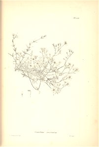 n216_w1150