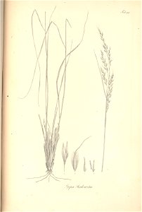 n135_w1150