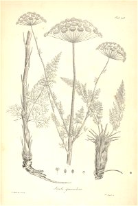 n171_w1150