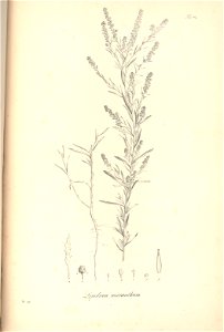 n129_w1150