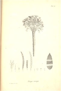 n123_w1150