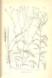 n229_w1150
