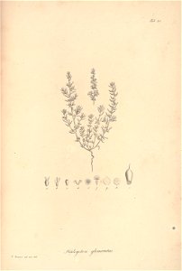 n77_w1150