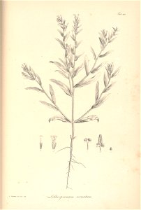 n62_w1150