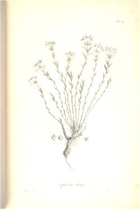n258_w1150