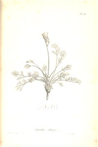 n176_w1150