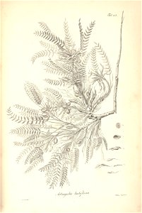 n170_w1150
