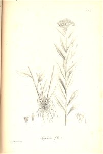 n106_w1150