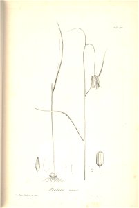n197_w1150