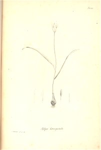 n122_w1150